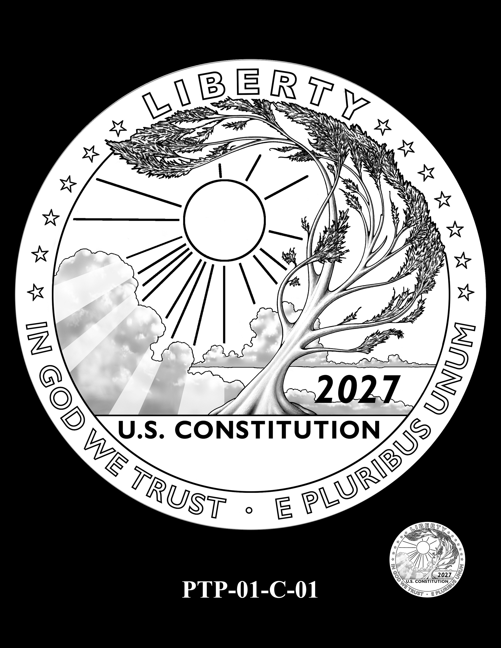 PTP-01-C-01 -- 2026 - 2028 American Eagle Platinum Proof